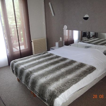 Hotel Bon Accueil Oyonnax Szoba fotó